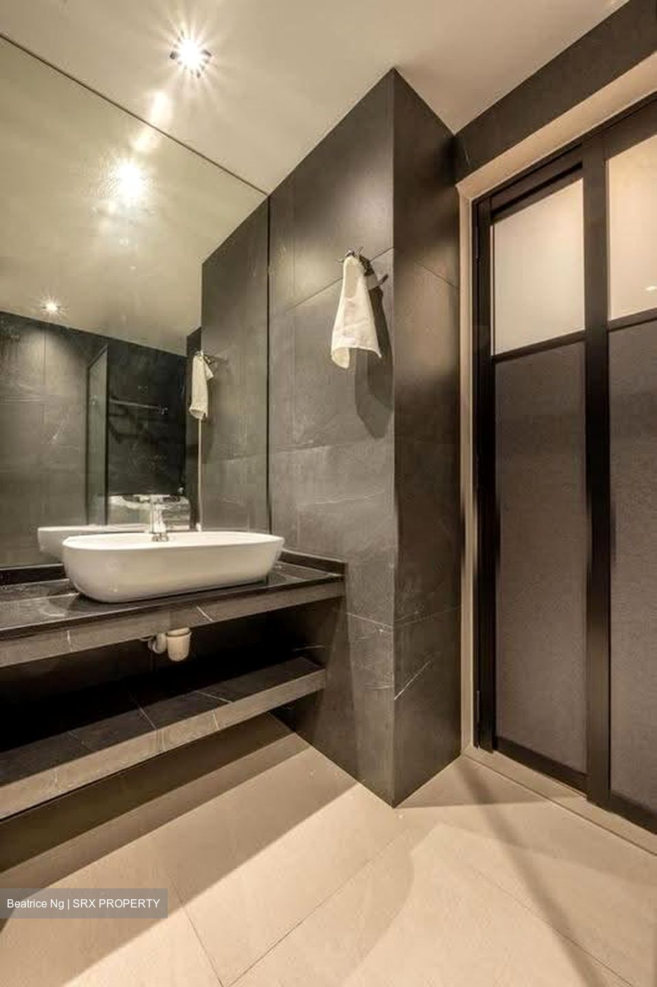 Heritage View (D5), Condominium #632077021